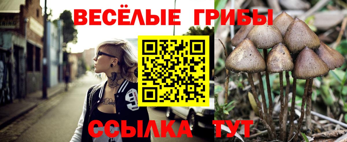 Псилоцибиновые грибы Psilocybine cubensis  Вход с VPN  Ртищево 